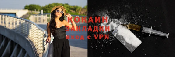 прущие грибы Костерёво