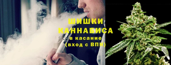 твердый Корсаков