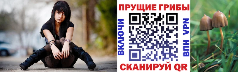 Псилоцибиновые грибы мухоморы  нарко площадка формула  Михайловка  купить  